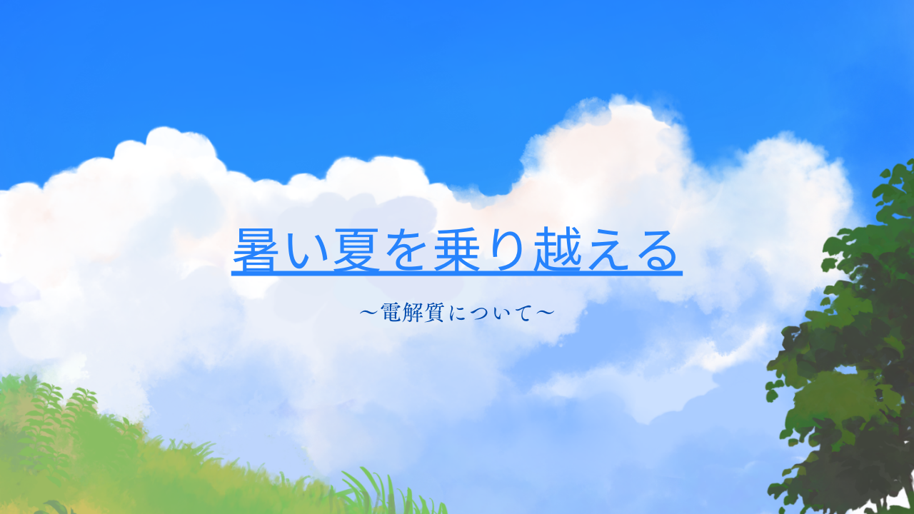 暑い夏を乗り越える 電解質についての記事